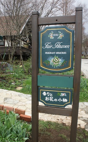 DSC03678 (2)