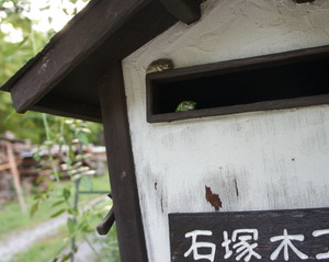 DSC04756