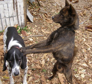 P1010054