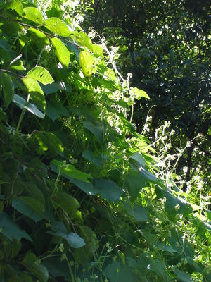 P1010045