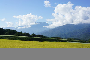 DSC04983