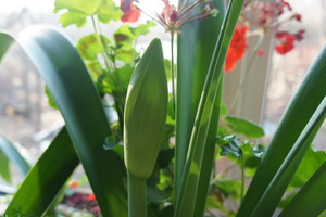 DSC00644
