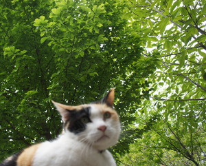 DSC03772