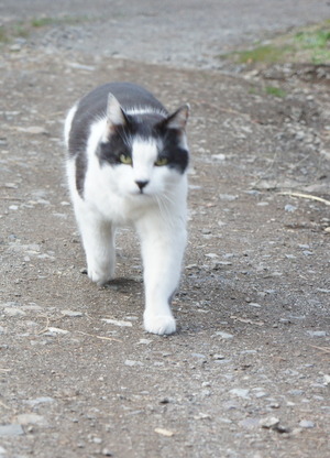 DSC03485