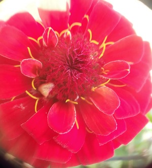 IMG_20201103_114631