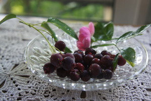 DSC08625