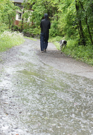 DSC01399
