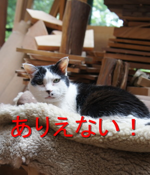DSC04060