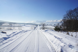 DSC06818