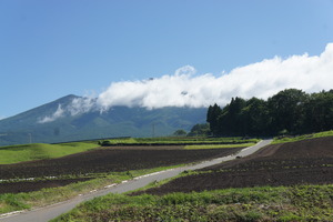 DSC04152