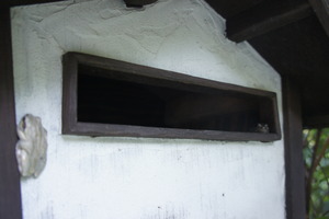 DSC04770