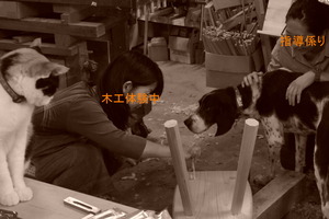 DSC05090