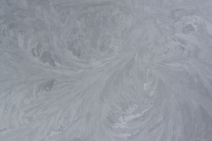 DSC00508