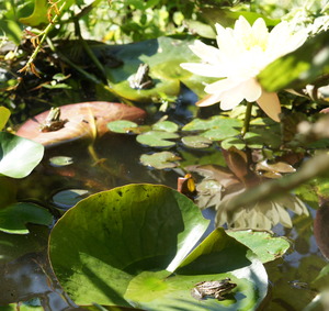 DSC05005