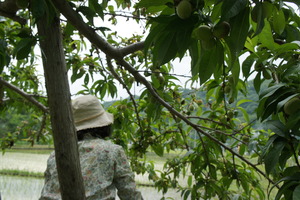 DSC03940