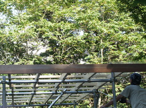 DSC04746