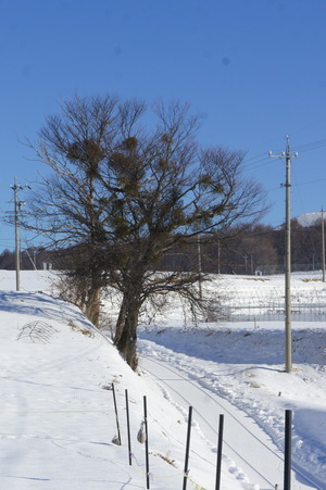 DSC06808