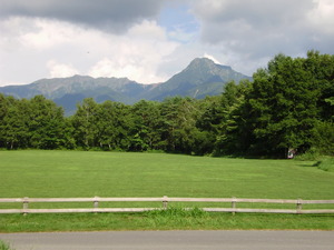 P8260054