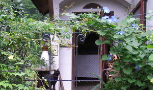P1010196