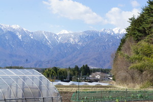 DSC07765