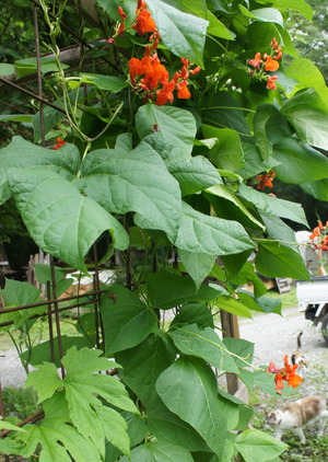 DSC04160