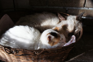 DSC00053