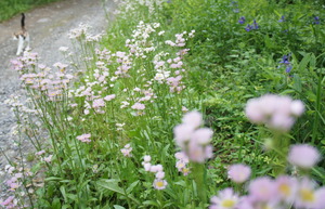 DSC01457