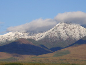 PB020008