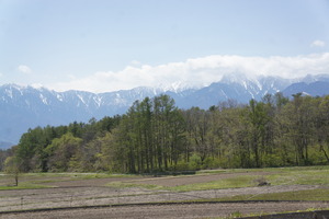 DSC07979