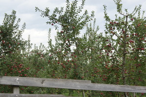 DSC02395
