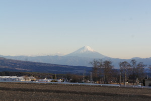 DSC03054
