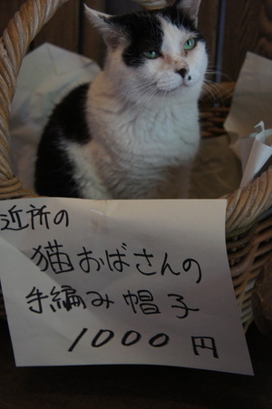 DSC05113