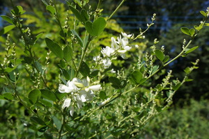 DSC04747