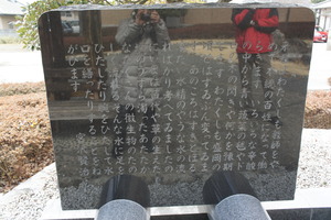 DSC03223