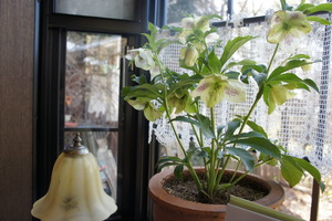 DSC00444