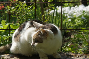 DSC01290