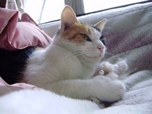 P1120225