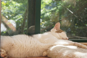 DSC01944