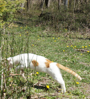 DSC03570