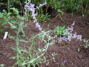 P1010203