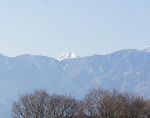 DSC06903