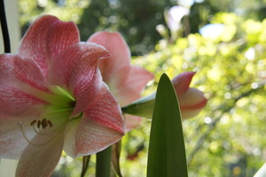 DSC02089