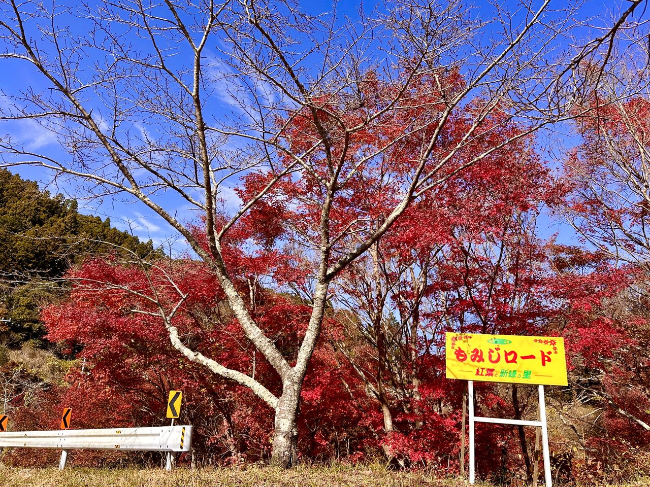 Discover CHIBA！ : 社長☆ブログ 「イシヅカのつぶやき」 桶市ハウジング
