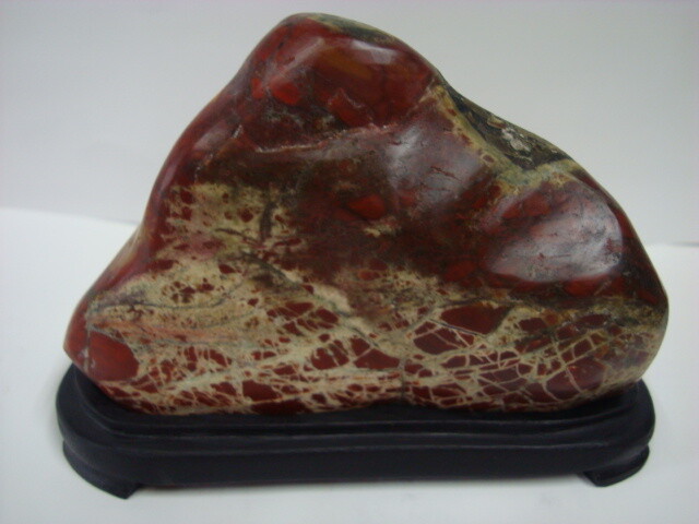 医王五色石 : 鑑賞石の世界 水石 美石 珍石 化石 白山紋石庵