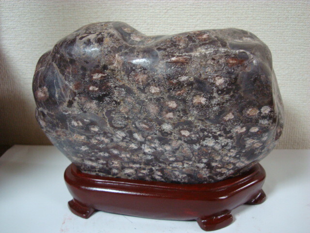 白山紋石 : 鑑賞石の世界 水石 美石 珍石 化石 白山紋石庵