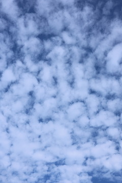 048A3397
