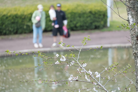 短春