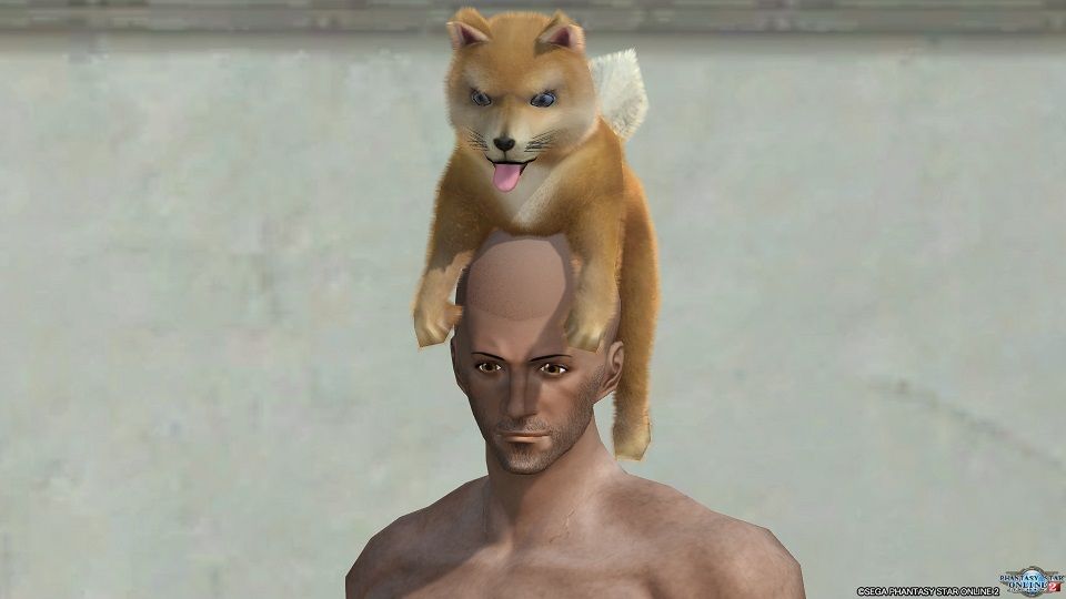 頭乗り子犬 で禁断のペットプレイ 株 黒山羊フォトン工業 頭乗り子犬 で禁断のペットプレイ 株 黒山羊フォトン工業