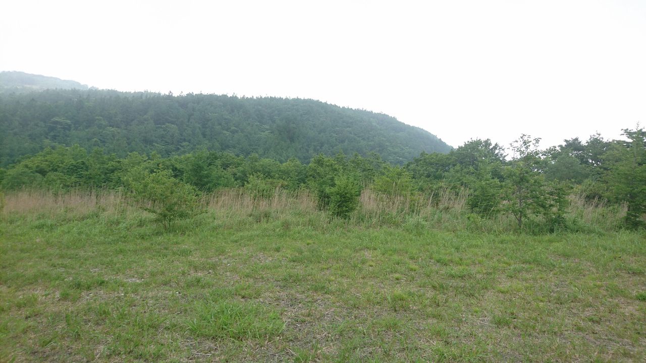 ロケ地 某廃墟と開けた自然 ご紹介 19年6月現在 コスプレ歓迎旅館 石川荘 ロケ地 某廃墟と開けた自然 ご紹介 19年6月現在 コスプレ歓迎旅館 石川荘