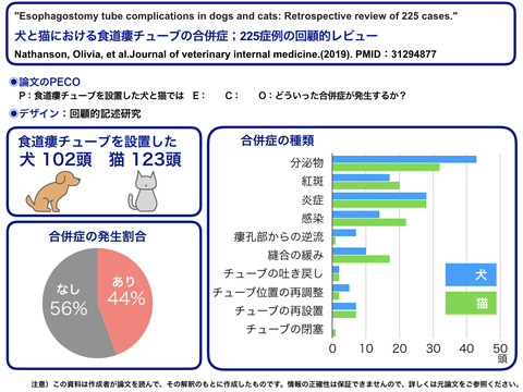 ビジアブ）食道チューブの合併症.